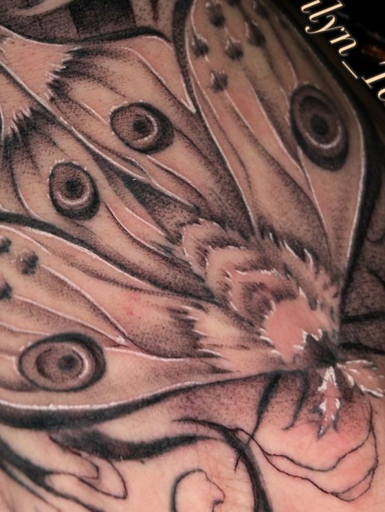 Black and grey moth wings tattoo
