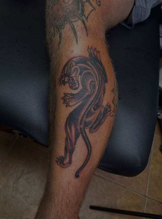 Traditional black panther tattoo on a calf